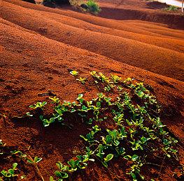 《星刃》肉鸽？性感女主独立动作《DISORDER》公布